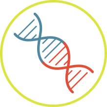 Graphic showing gene fusion